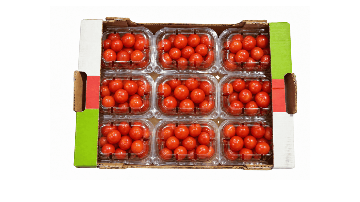 Fresh Green Capsicum Box