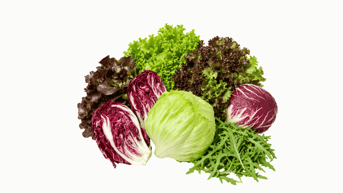 Salad Leaves