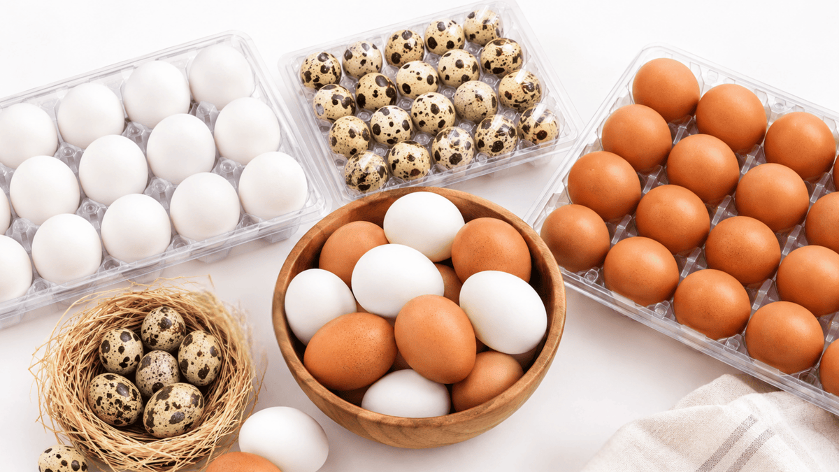 Eggs