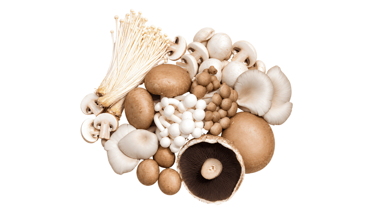 Mushroom