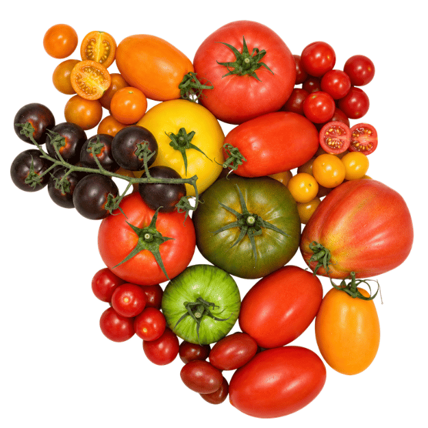 Tomatoes