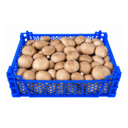 Fresh Brown Button Mushrooms Box