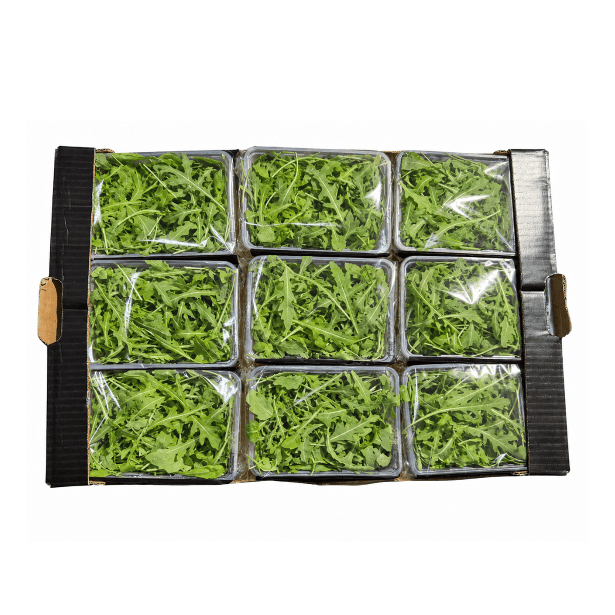 Fresh Wild Rocket Leaves 8×125g Box