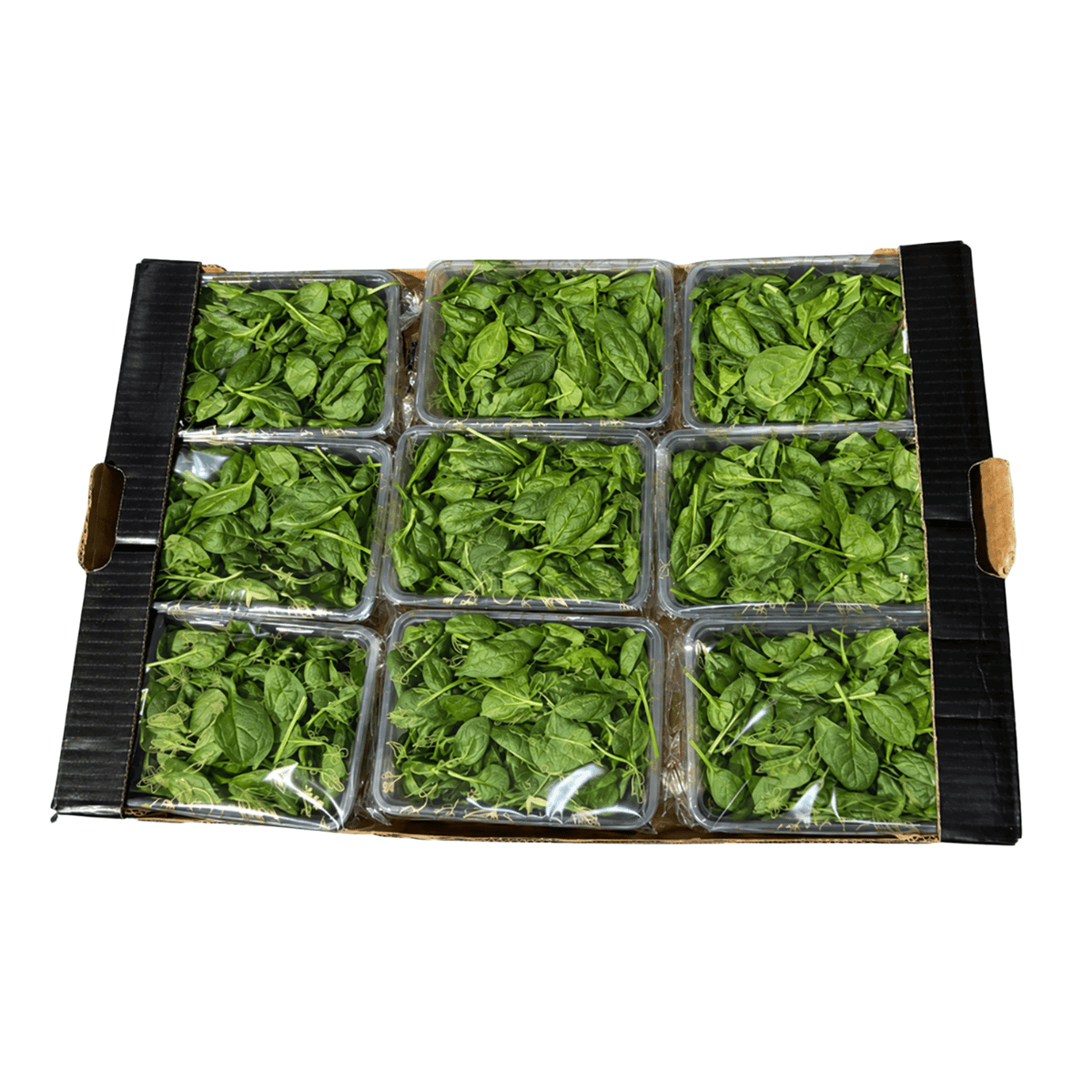 Fresh Baby Spinach 8x125g Box