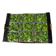 Fresh Baby Spinach 8x125g Box