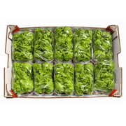 Fresh Baby Gem Lettuce 10x500g Box