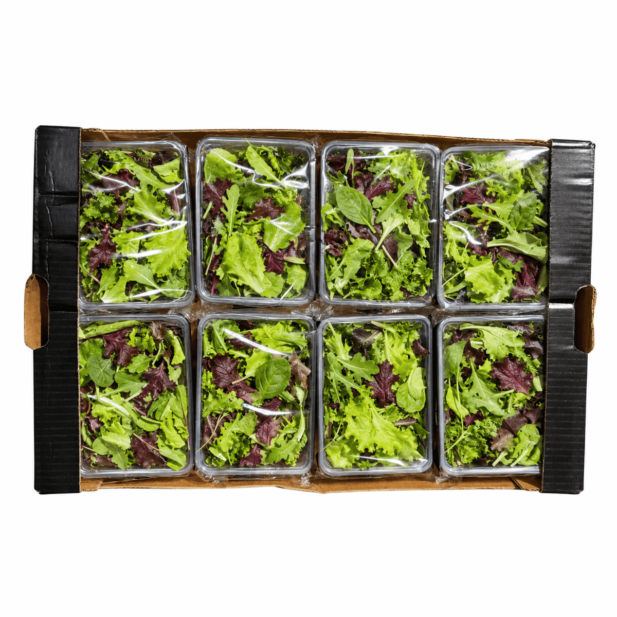 Fresh Mesclun Mix 9x125g Box