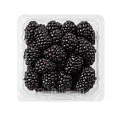 Fresh Blackberries