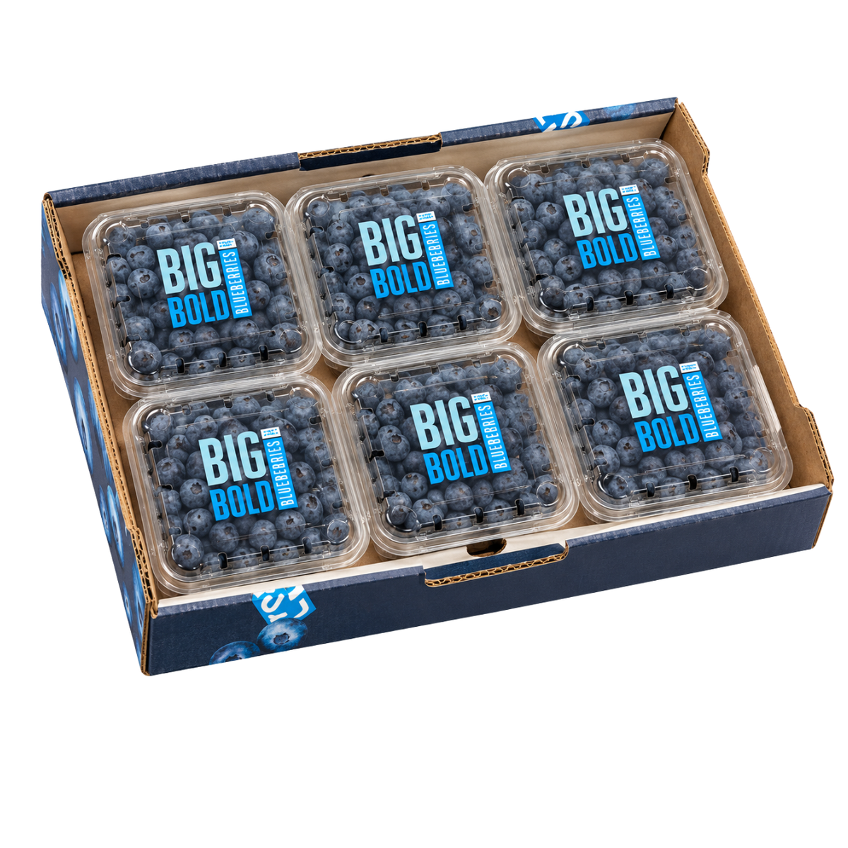 Fresh Blueberries Box (12x125g)