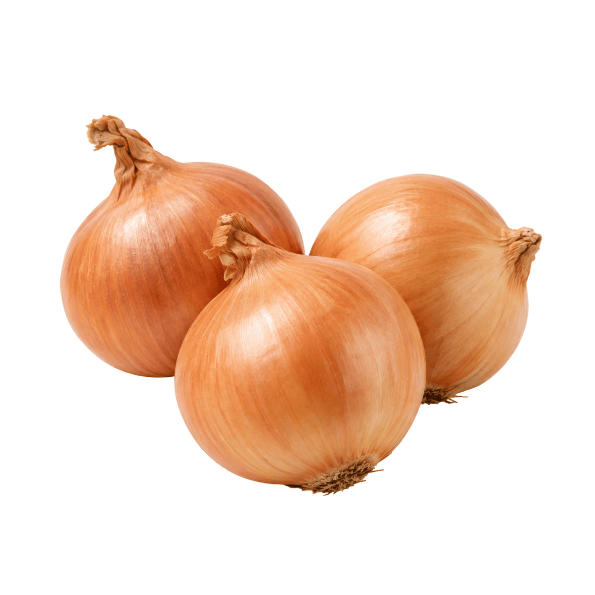 Fresh Brown Onions