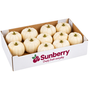 Casperita Pumpkin Box