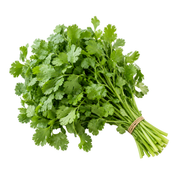 Fresh Coriander (100g)
