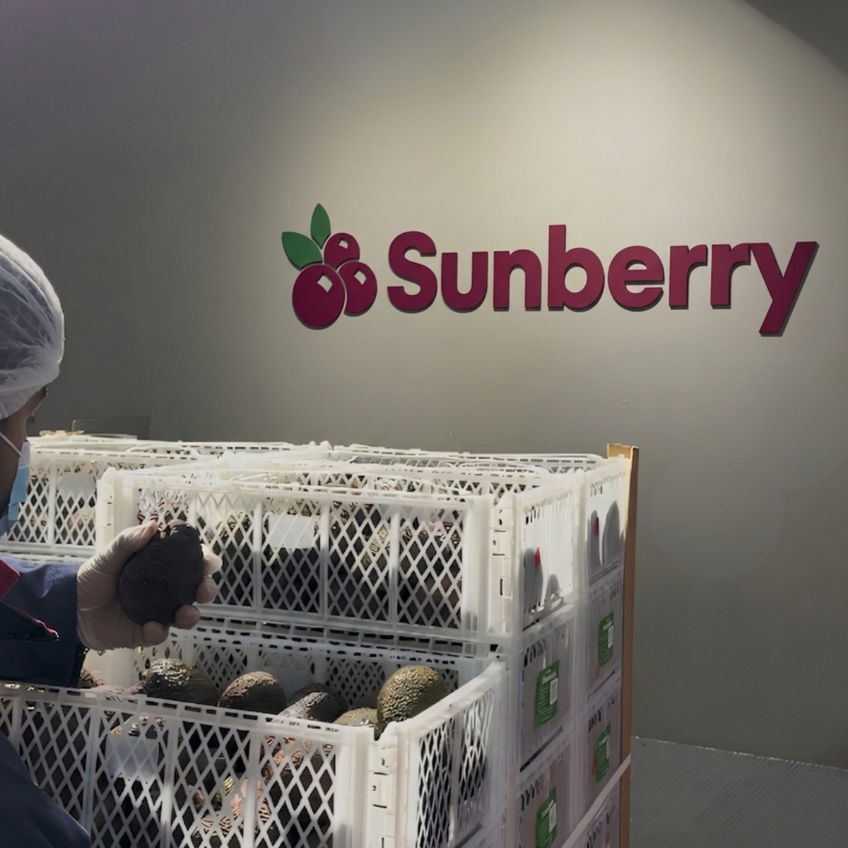 Sunberry Fresh
