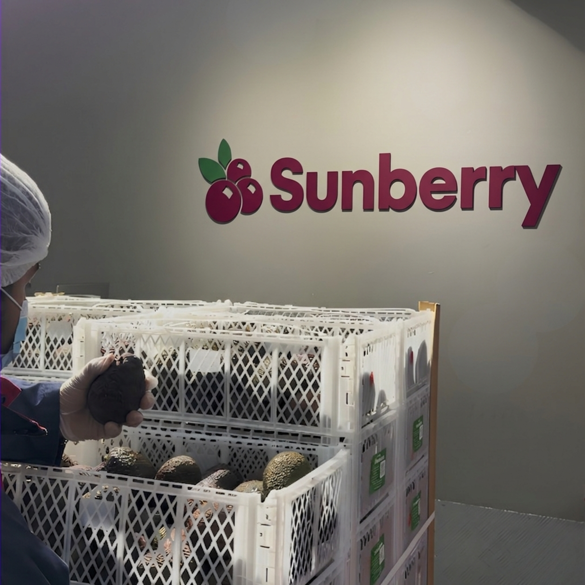 Sunberry Fresh