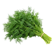 Fresh Dill (100g)