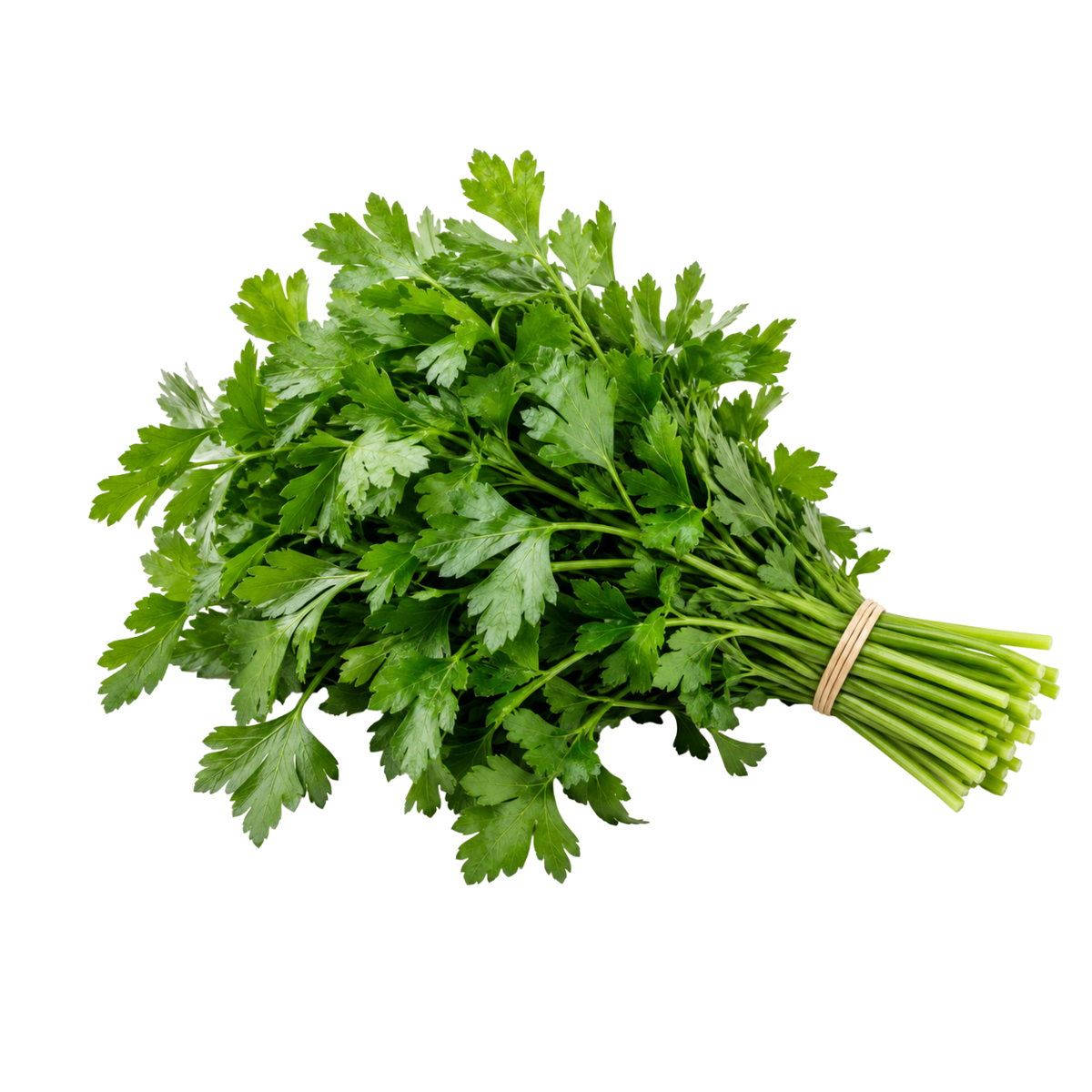 Fresh Parsley (100g)