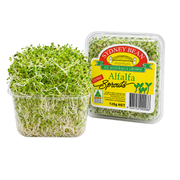Fresh Alfa Alfa Sprouts (125g / pack)