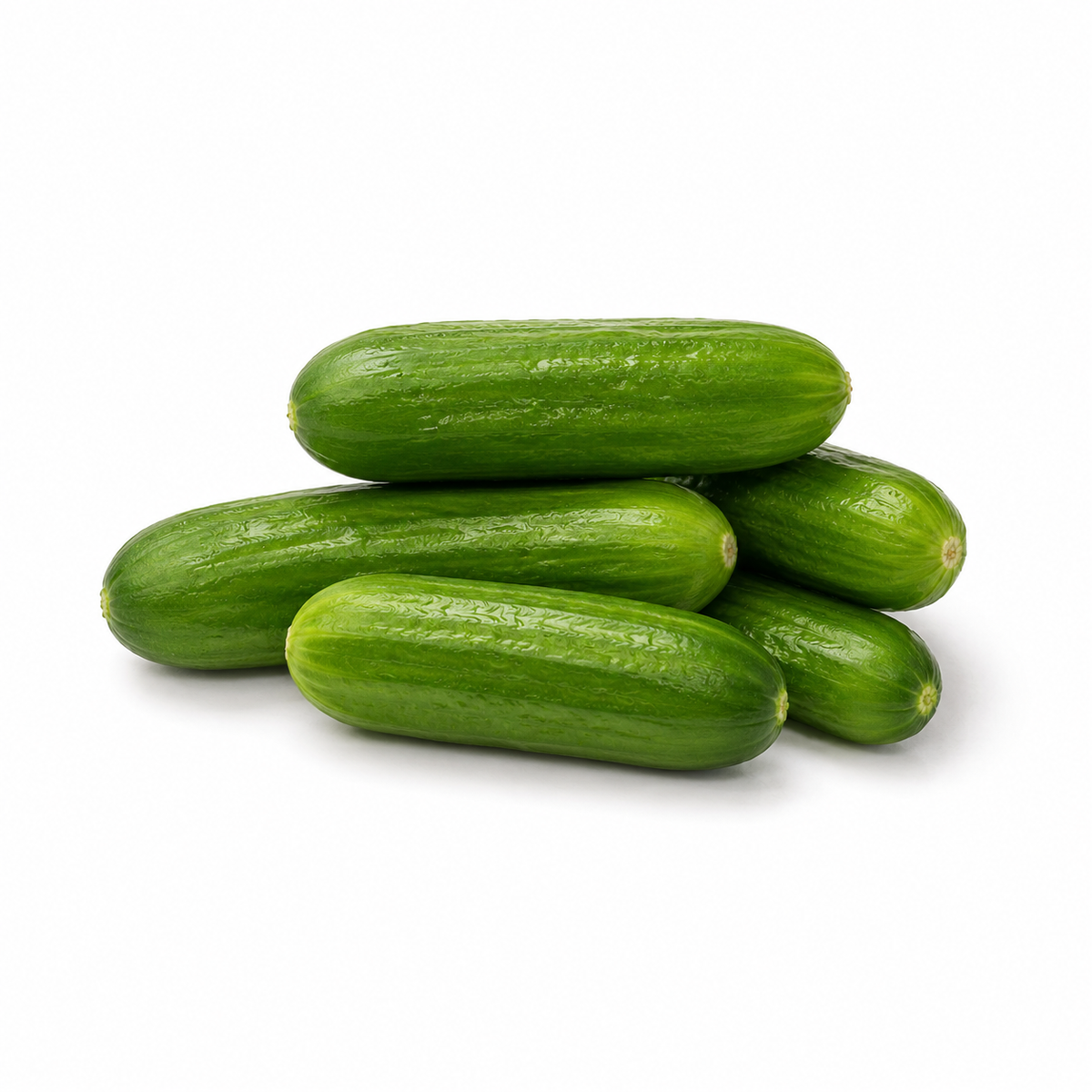 Fresh Baby Cucumbers on white background