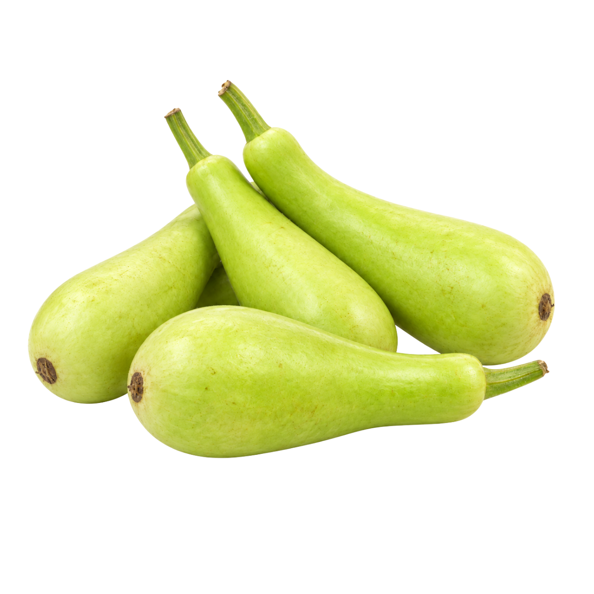 Fresh Baby Green Pumpkin (950g-1kg)
