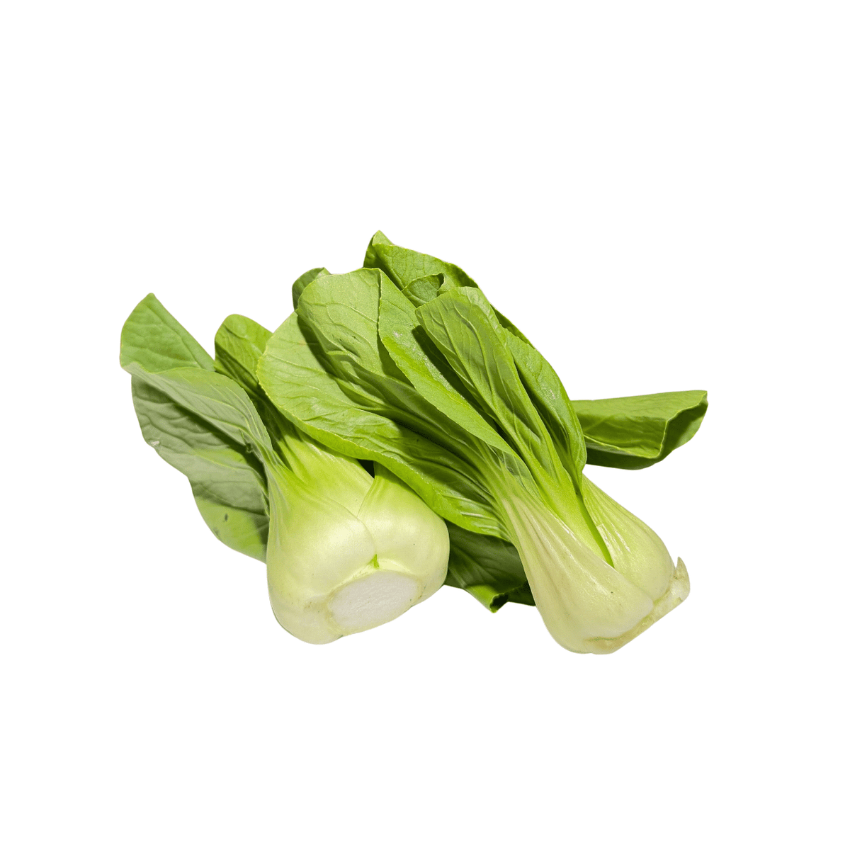 Fresh Baby Pak Choy
