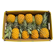 Fresh Baby Pineapple Box