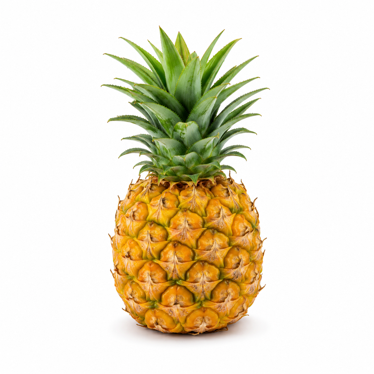 Fresh Baby Pineapple on white background