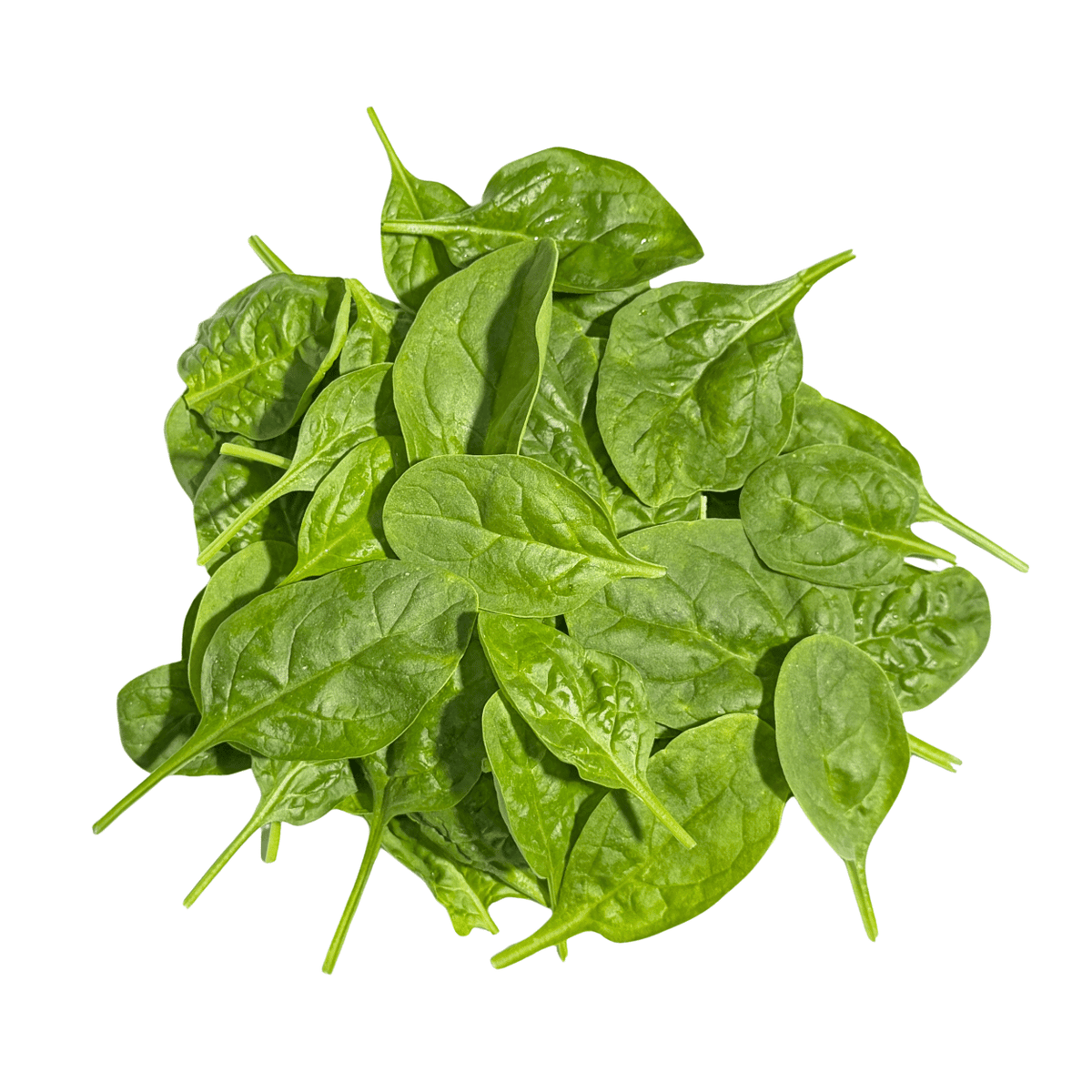 Fresh Baby Spinach