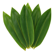 Fresh Bamboo Leaves (200g / pack)