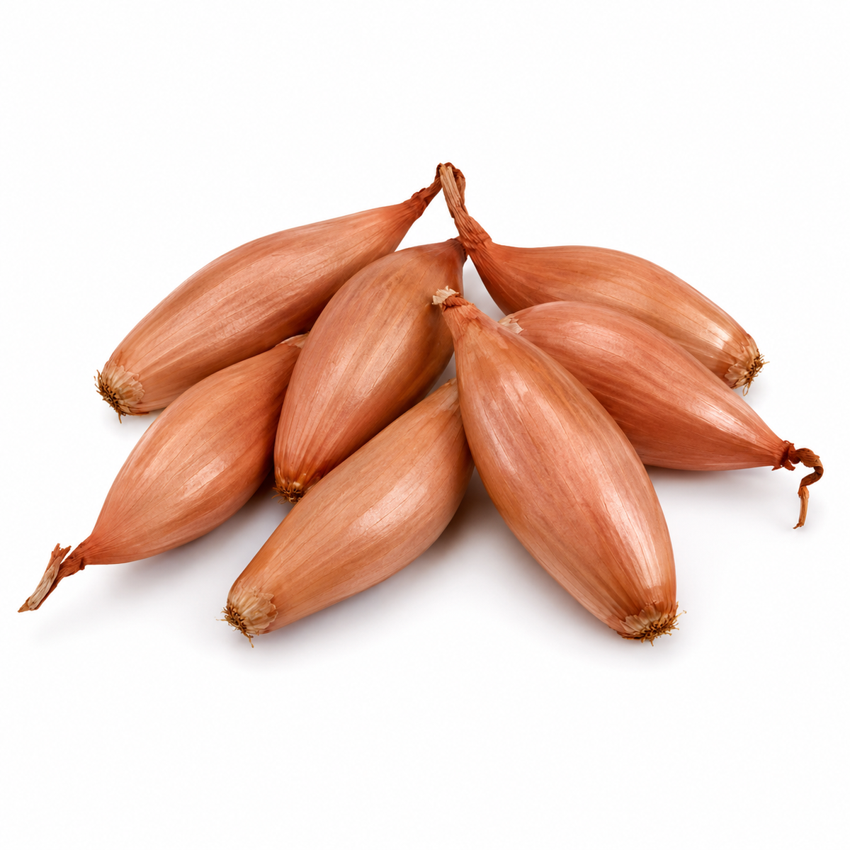 Fresh Banana Shallots on white background