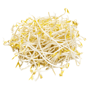 Fresh Bean Sprouts
