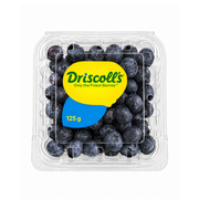 Fresh Blueberry Driscolls