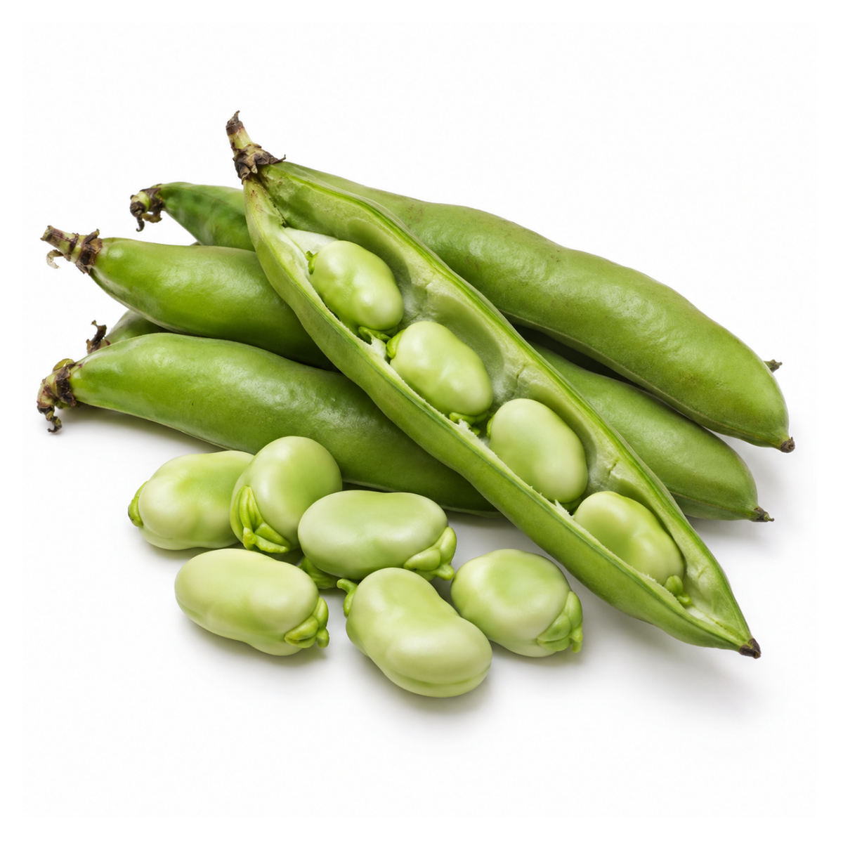 Fresh Broad Beans (500g / pack)