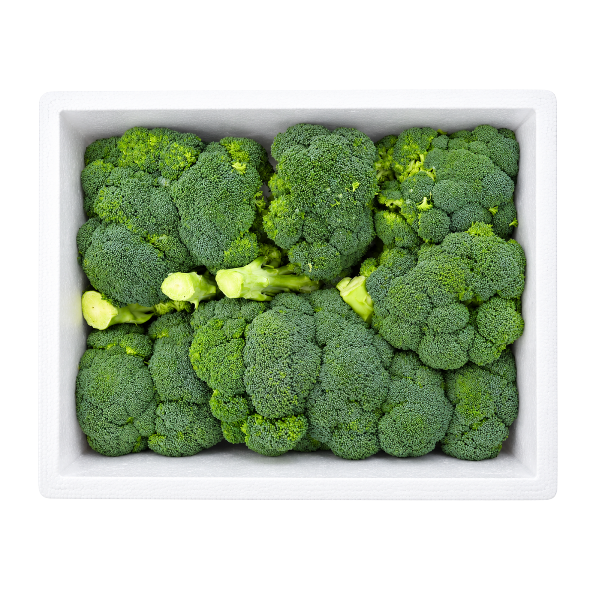 Fresh Broccoli Box