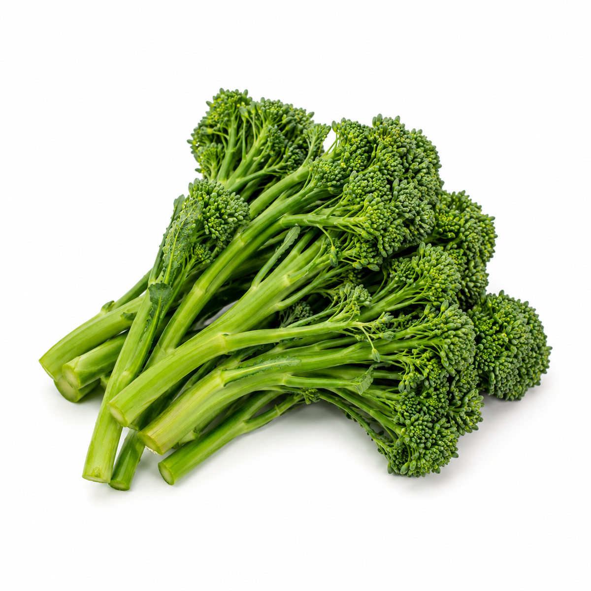 Fresh Broccolini on white background