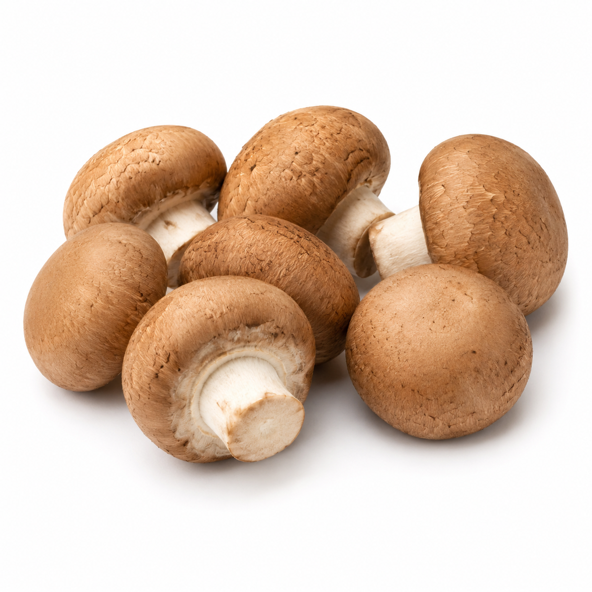 Fresh Brown Button Mushrooms on white background