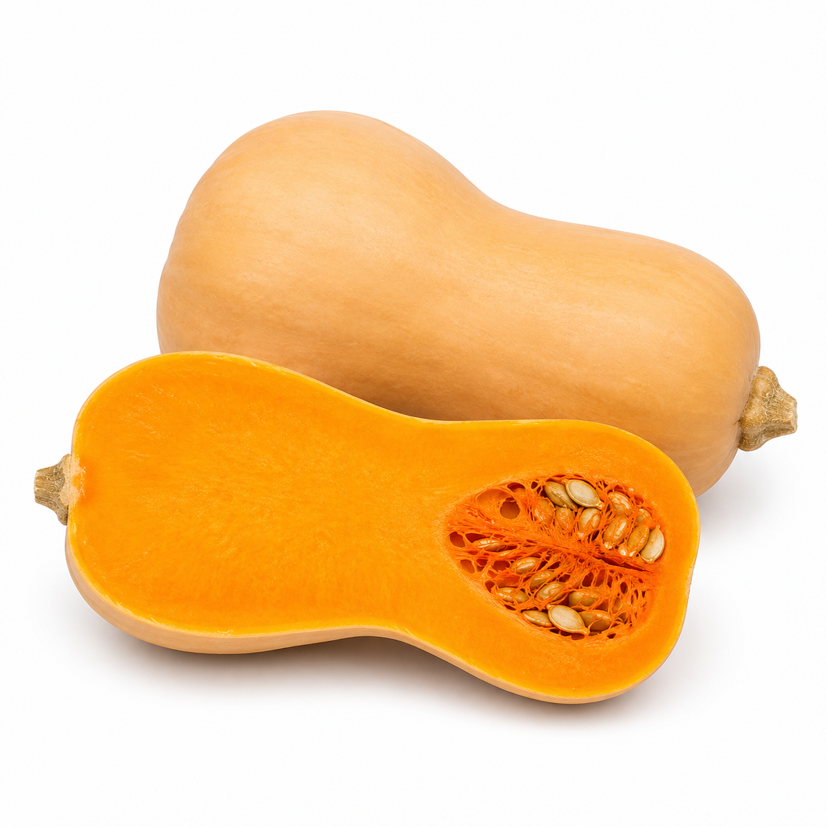 Fresh Butternut Pumpkin on white background