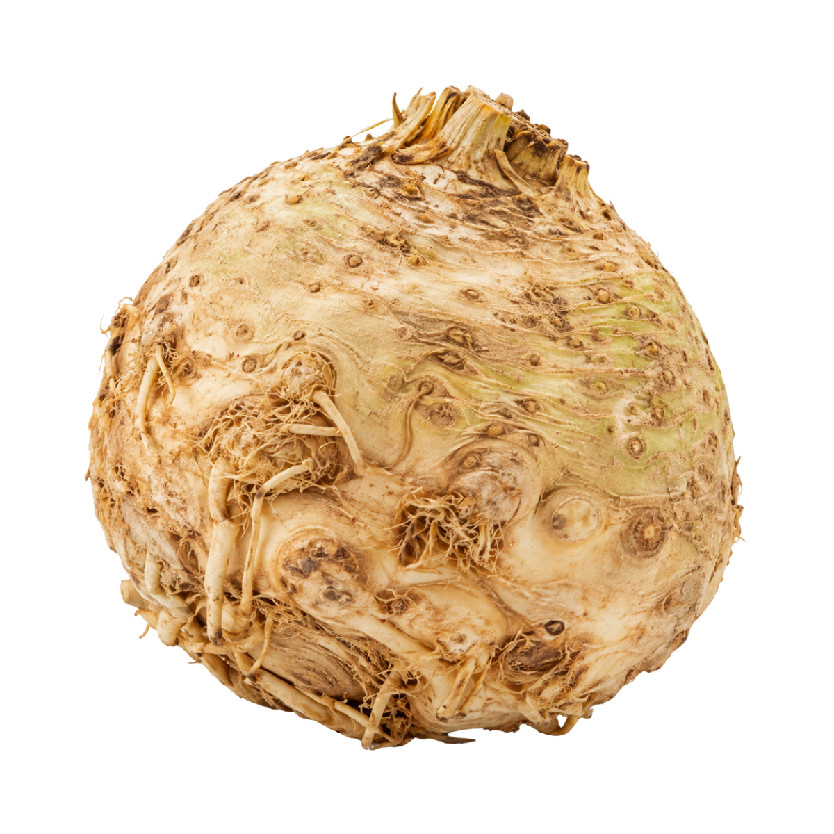 Fresh Celery Root (900-1kg / pc)