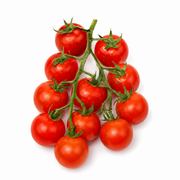 Fresh Cherry Tomatoes on the Vine on white background