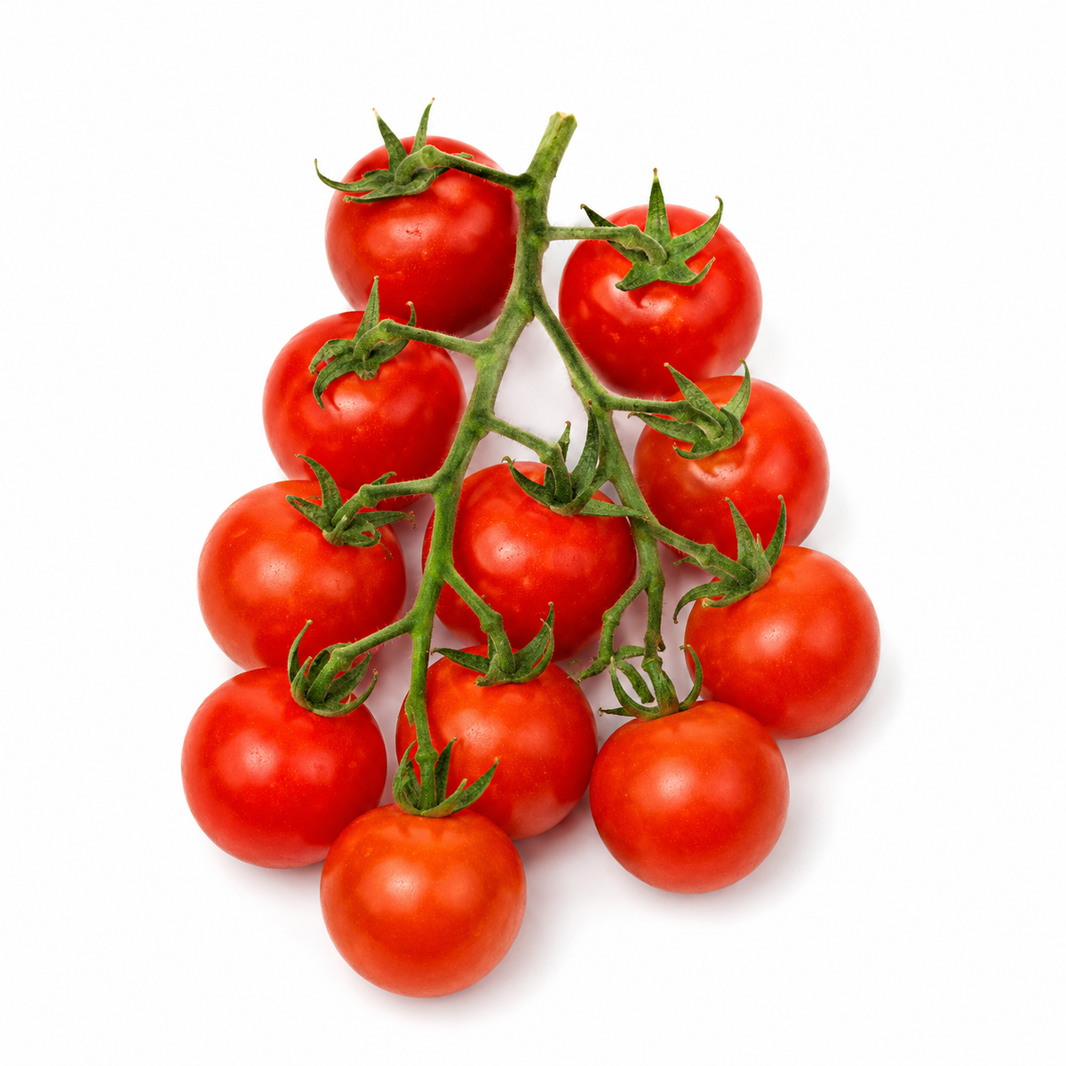 Fresh Cherry Tomatoes on the Vine on white background