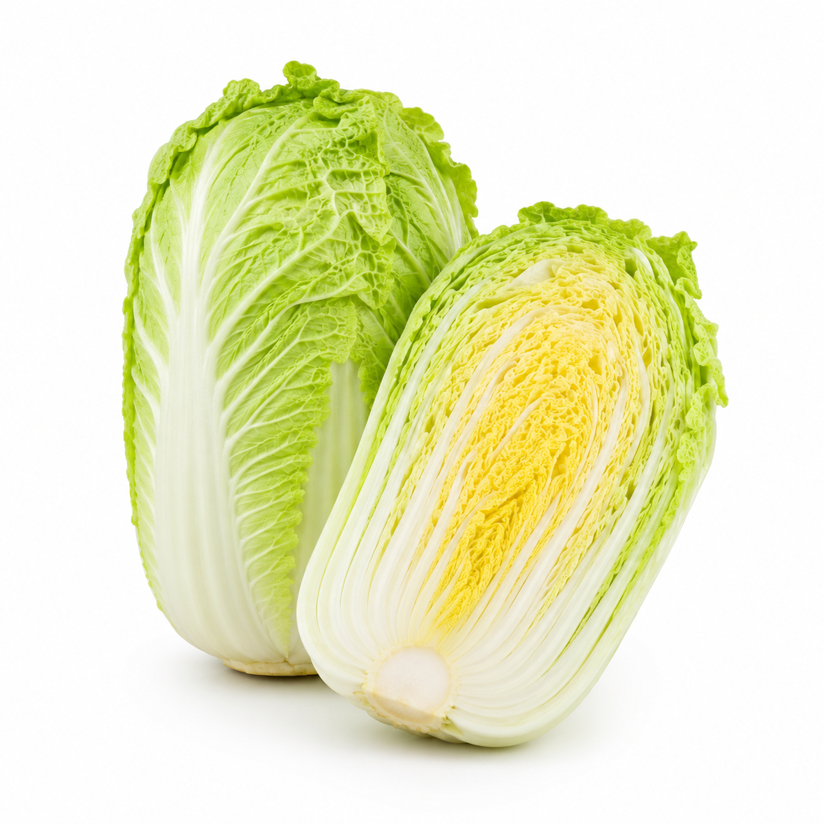 Fresh Chinese Cabbage on white background