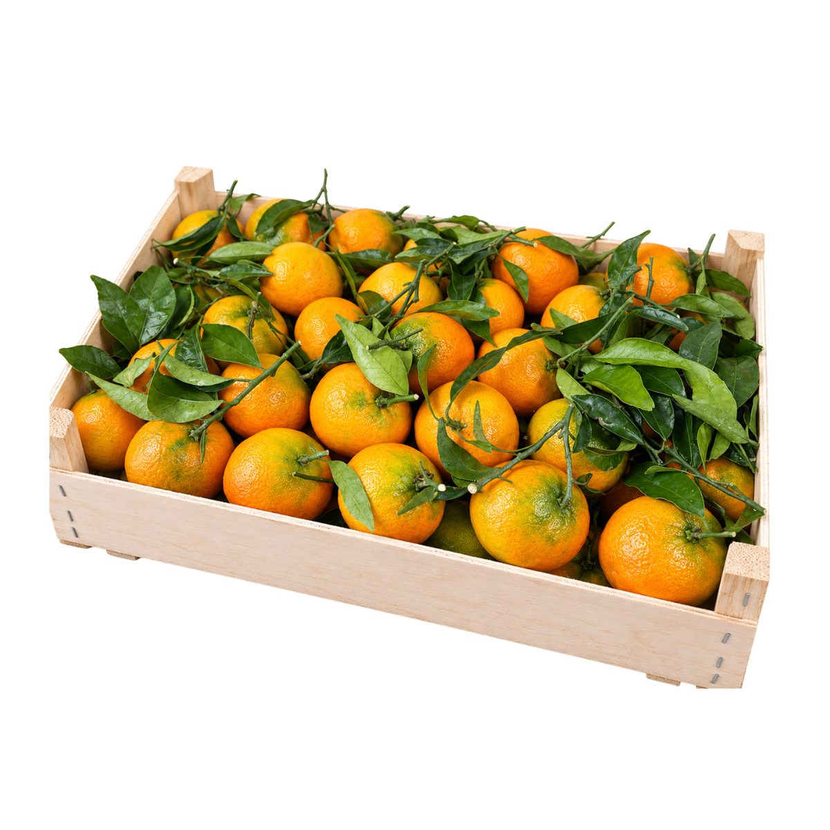 Fresh Clementine with Leaves Box (8kg)