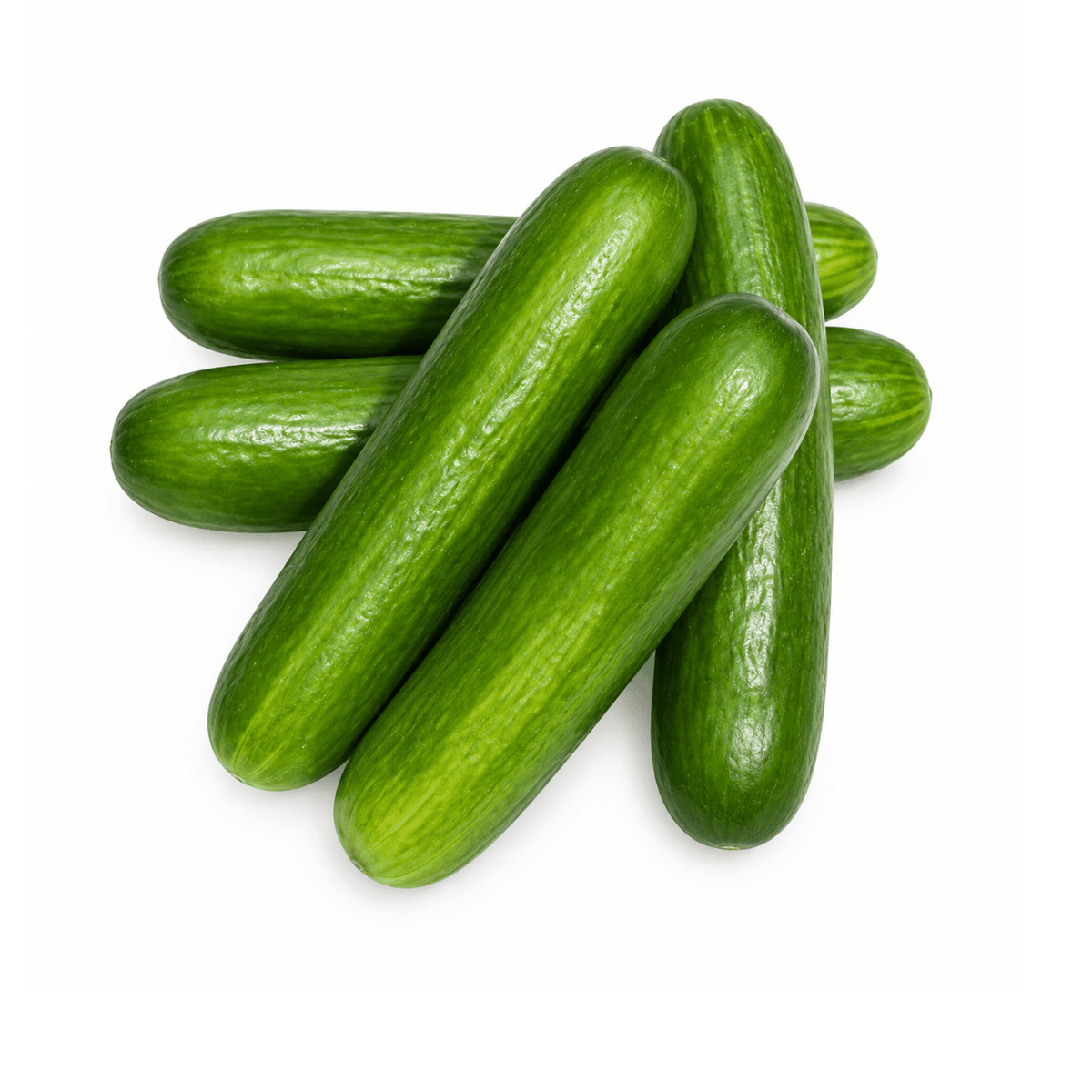 Fresh Cucumbers