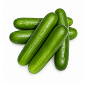 Fresh Cucumbers