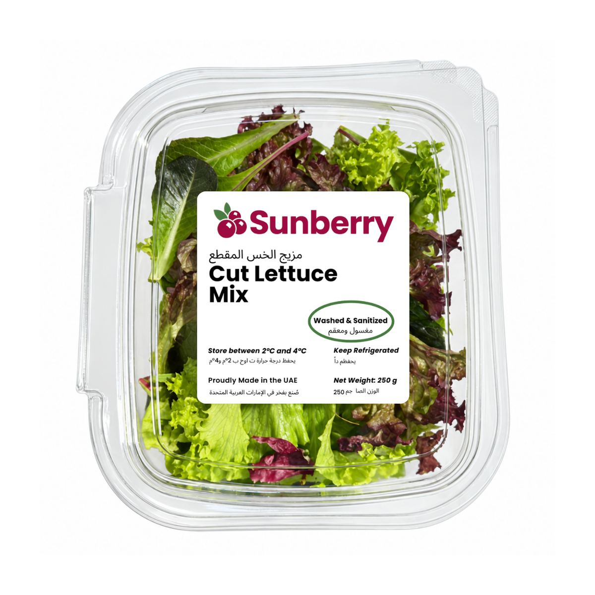 Fresh Cut Lettuce Mix