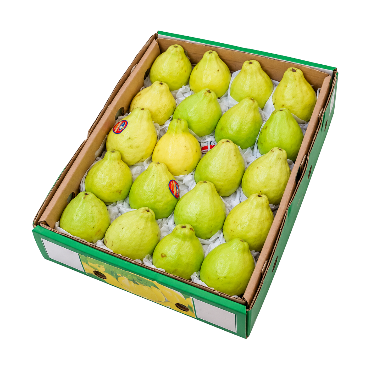 Fresh Egyptian Guava Box (1.2-1.8kg)