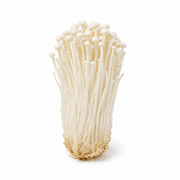 Fresh Enoki Mushrooms on white background