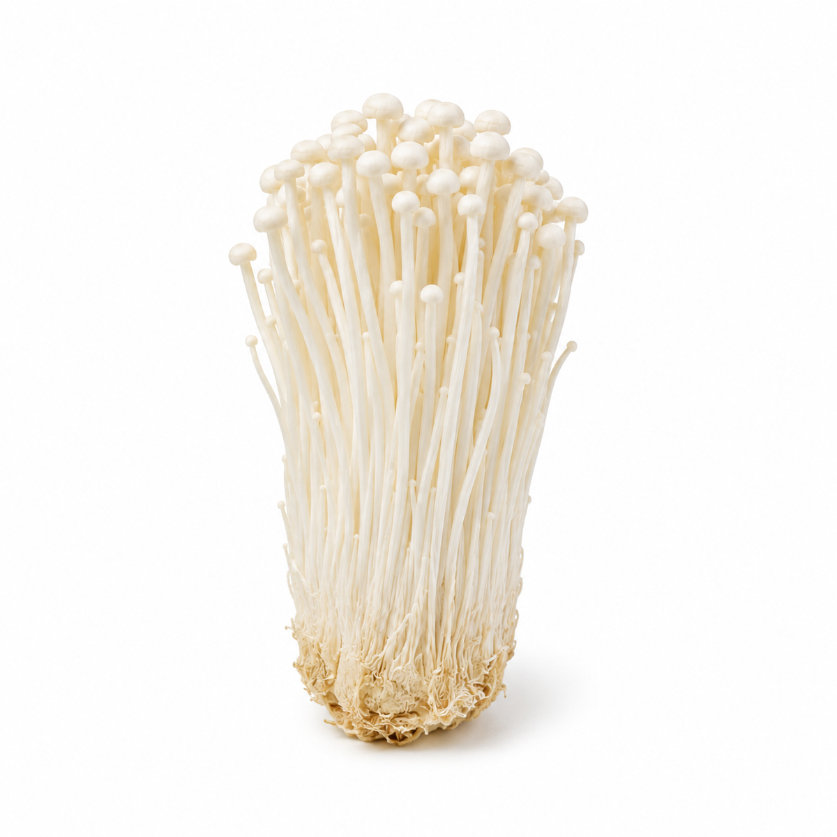 Fresh Enoki Mushrooms on white background