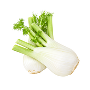 Fresh Fennel