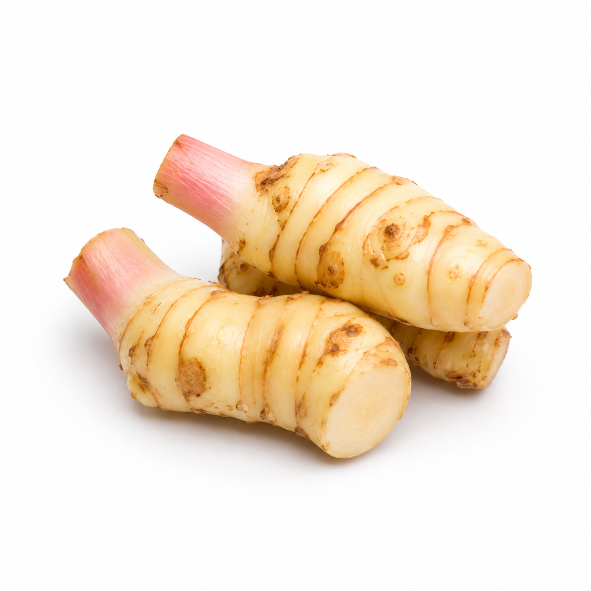 Fresh Galangal Root on white background