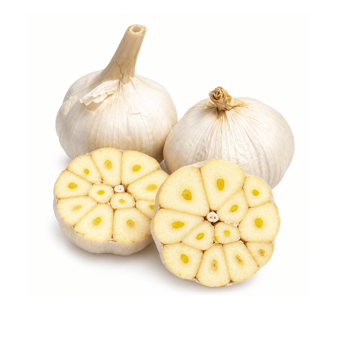 Fresh Garlic